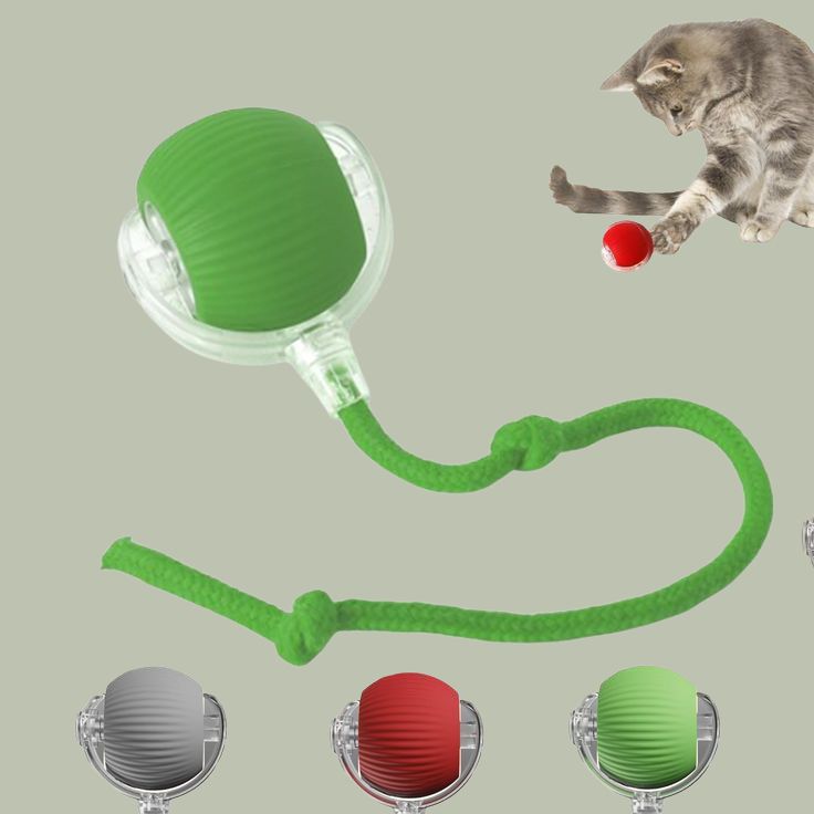 balle roulantes interactives automatiques pour chats.