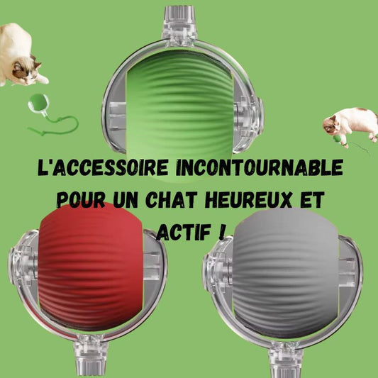 balle roulantes interactives automatiques pour chats.